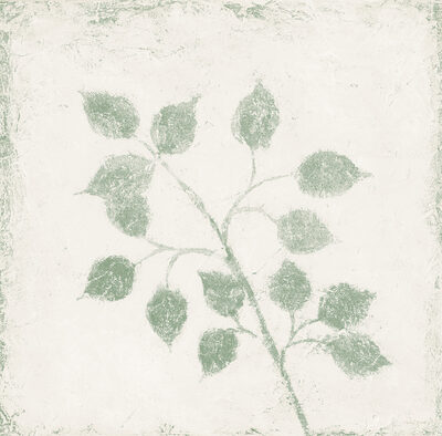 Image Not Available